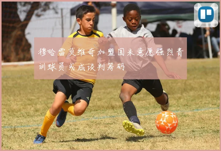 穆哈雷莫维奇加盟国米意愿强烈青训球员或成谈判筹码