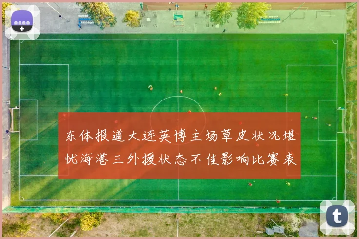 东体报道大连英博主场草皮状况堪忧海港三外援状态不佳影响比赛表现