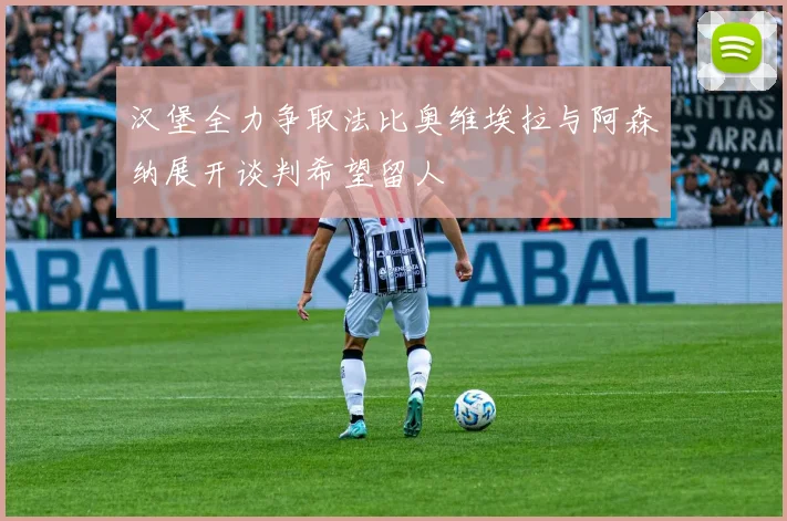 汉堡全力争取法比奥维埃拉与阿森纳展开谈判希望留人